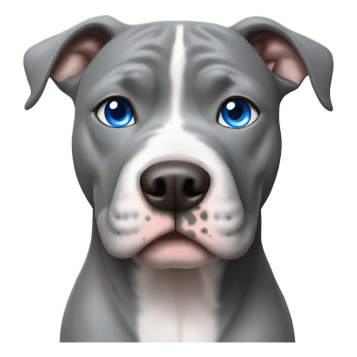 Grey pitbull with blue eyes  sticker