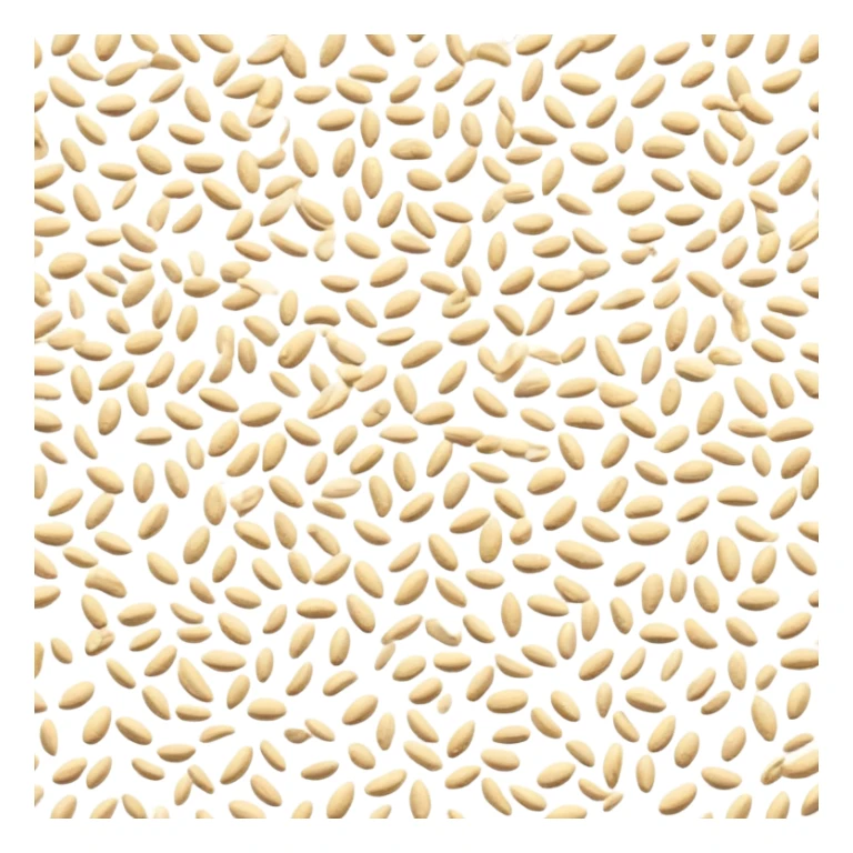 sesame seeds sprinkled on a surface sticker