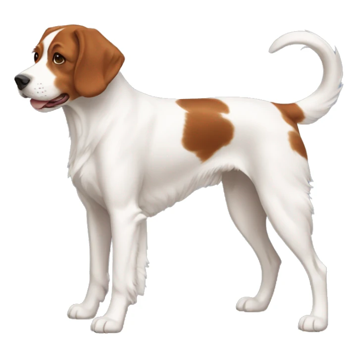 Brittany Dog Breed Full Body sticker
