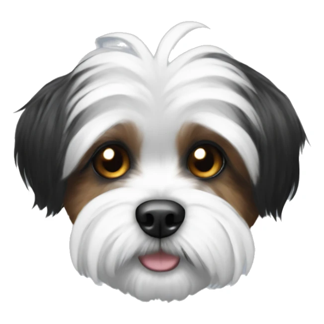 Black and white shorkie sticker