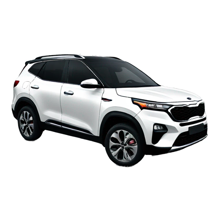 2019 white Kia seltos  sticker