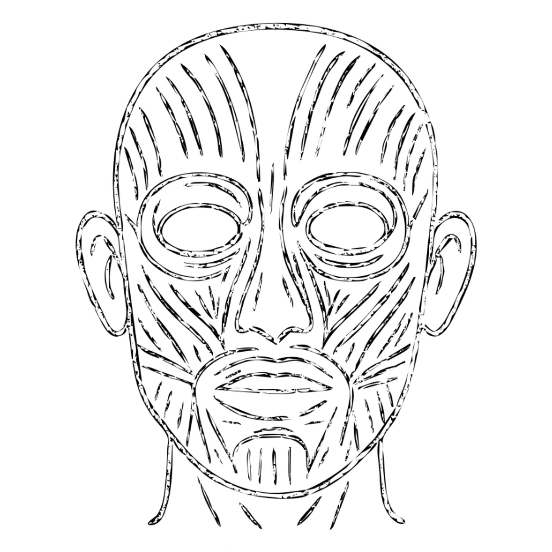 face with skin removed, showing muscle structure sticker