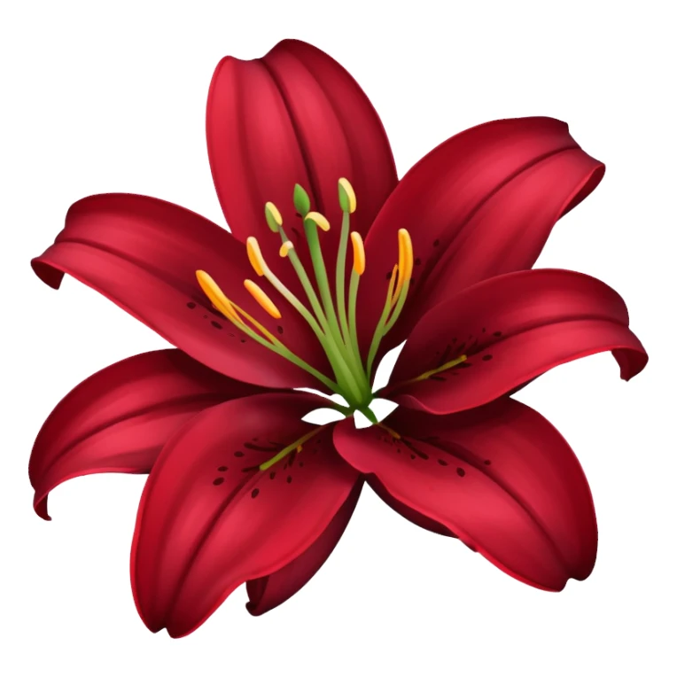 A lily flower in a dark cherry red colour sticker