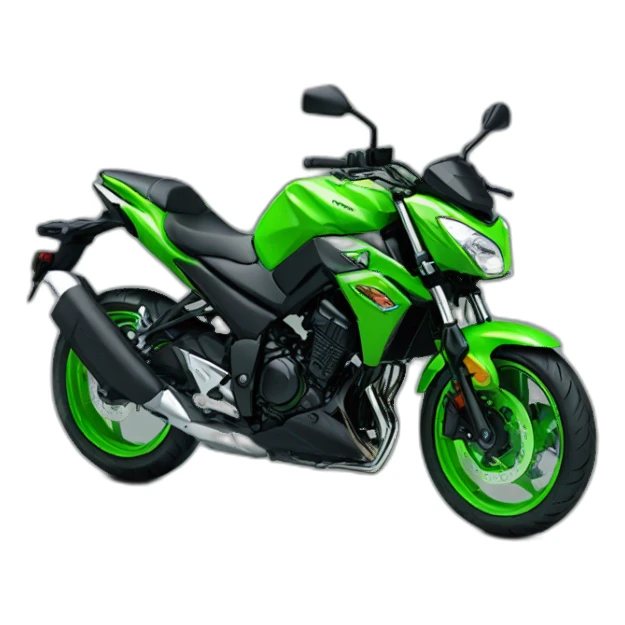 Kawasaki z125 sticker