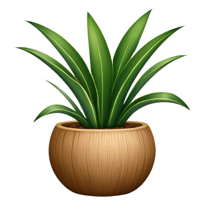 Sansevieria plant in round coconut pot sticker