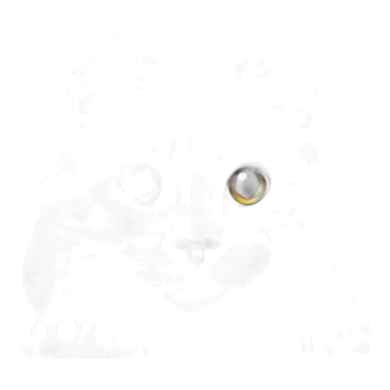 white with gray stripes maine coon cat sticker