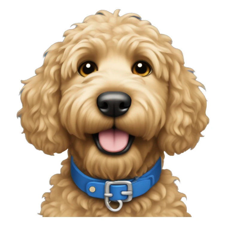 Golden doodle blue collar sticker
