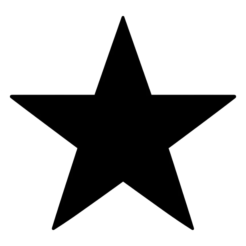 simple black star icon sticker
