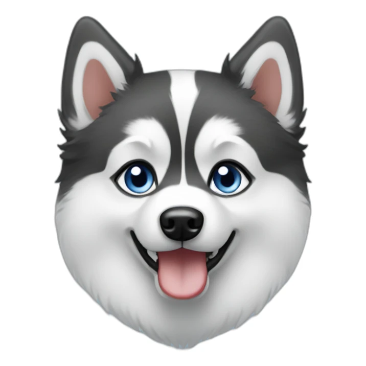 Pomsky black & whire blue eyes sticker