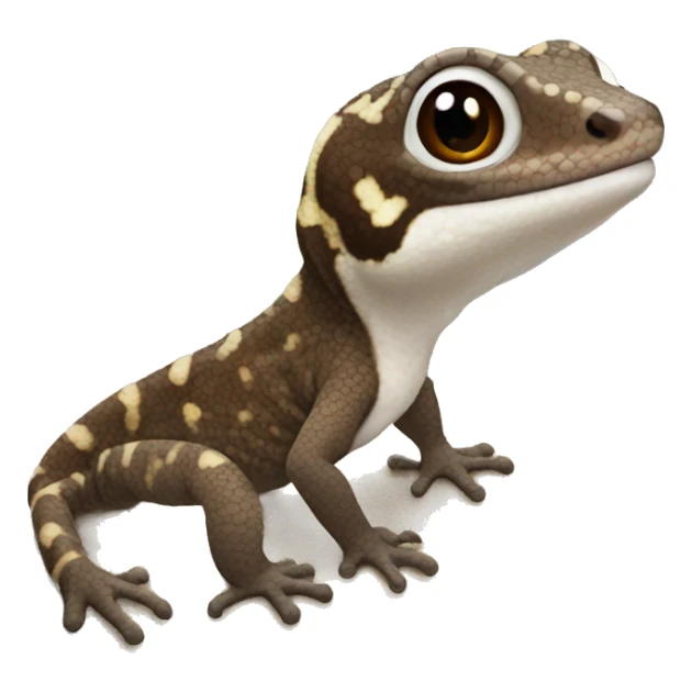 Puerto Rico Upland Gecko dark brown sticker