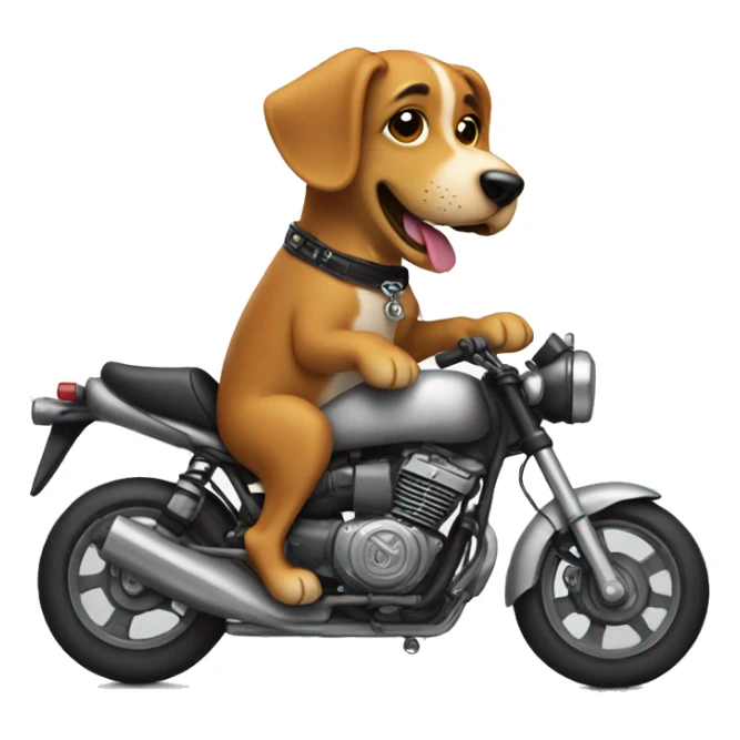 Dog with a motorbike sticker
