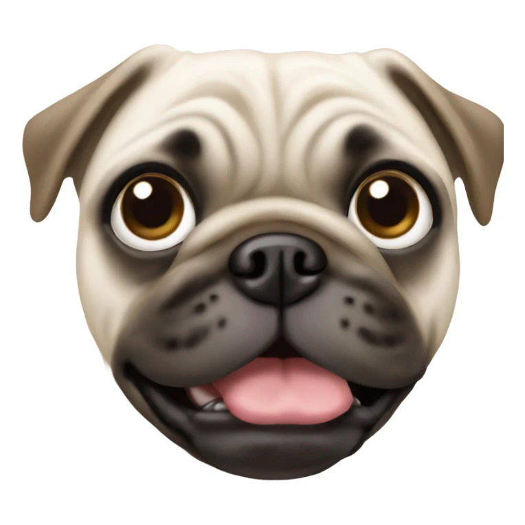 White and brown pug, green eyes sticker