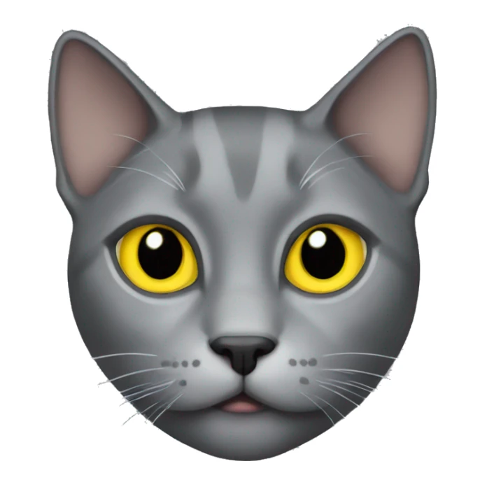 gray cat with yellow eyes sticker