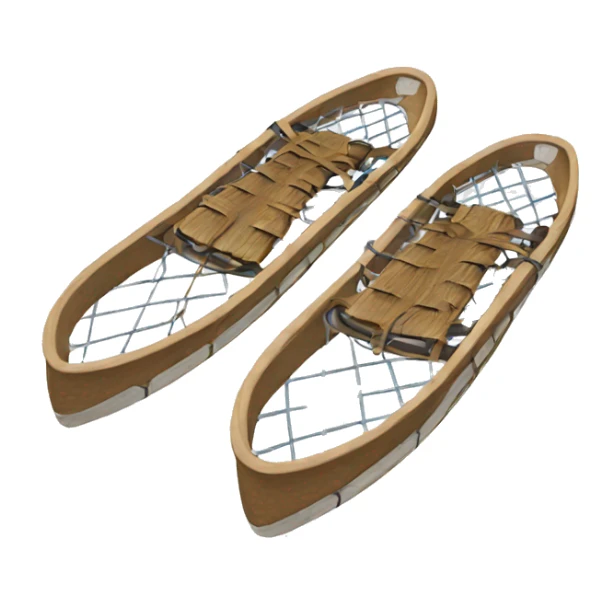 snowshoes sticker