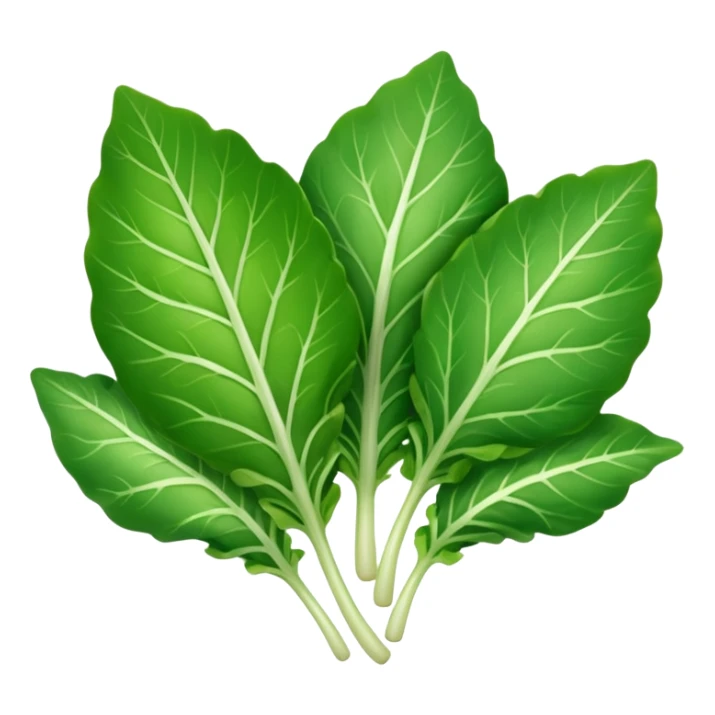 different salad leaves without bowl sticker