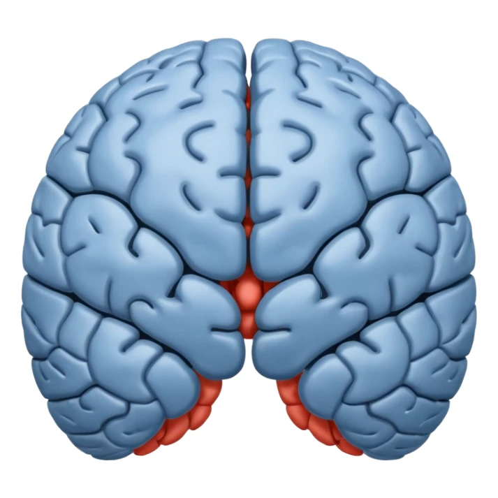 The brain has blue hemispheres and grey hemispheres sticker