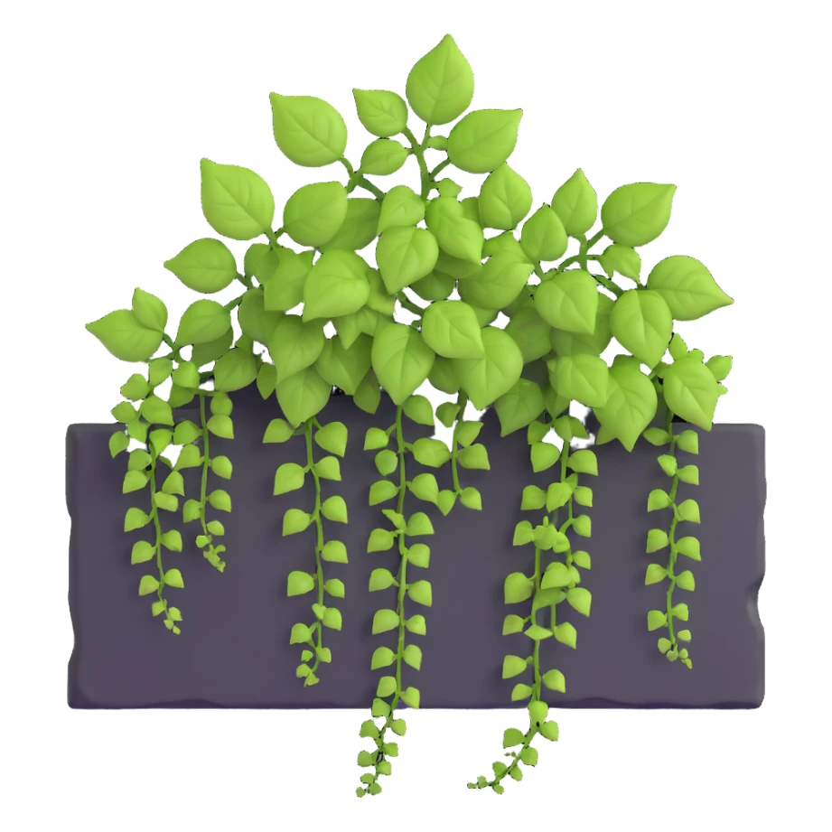 ivy plant growing on a wall sticker