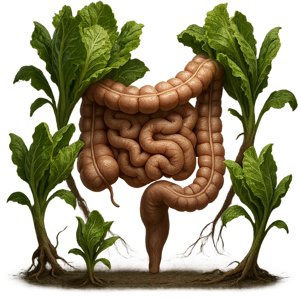 Ultra-realistic 4K illustration: stylized lettuce leaves depicted as plant-like creatures interacting with a human anatomical model of the intestine. The scene is surreal and scientific, with organic textures, refined biological details, dramatic lighting, and a bio-fantasy photorealistic style emoji