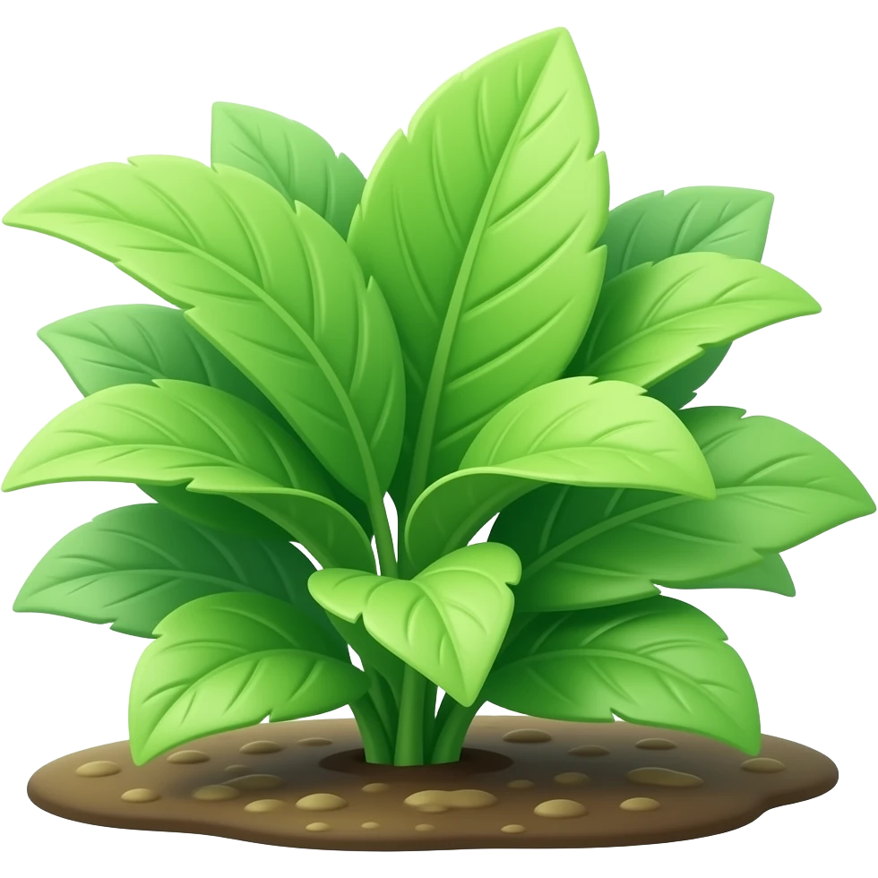 green plant from the ground with leafs emoji