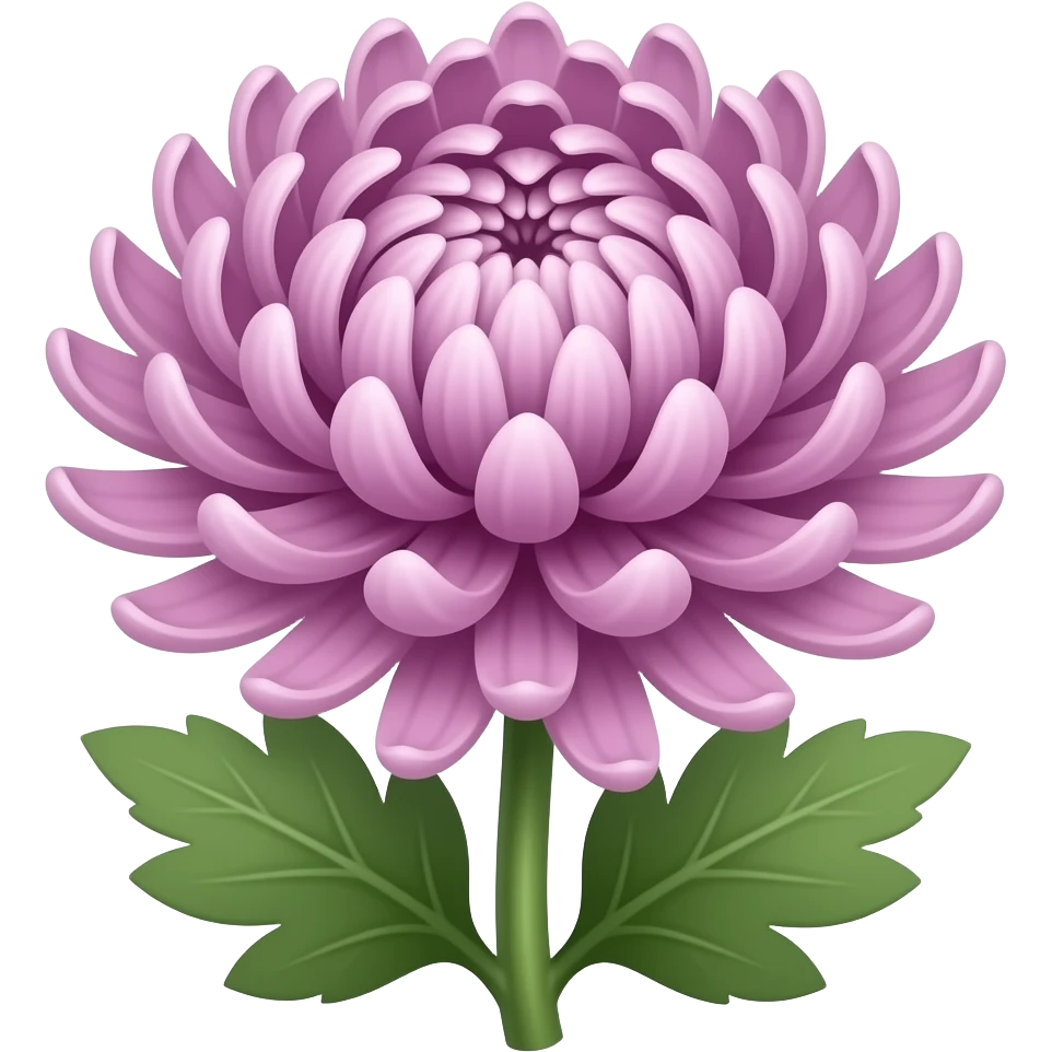 Elegant Mauve japanese chrysanthemum with stem and leaves emoji