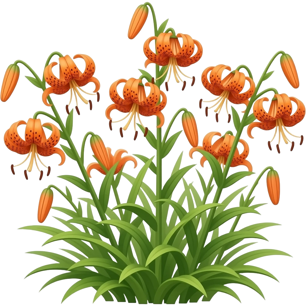 Tiger lilies emoji