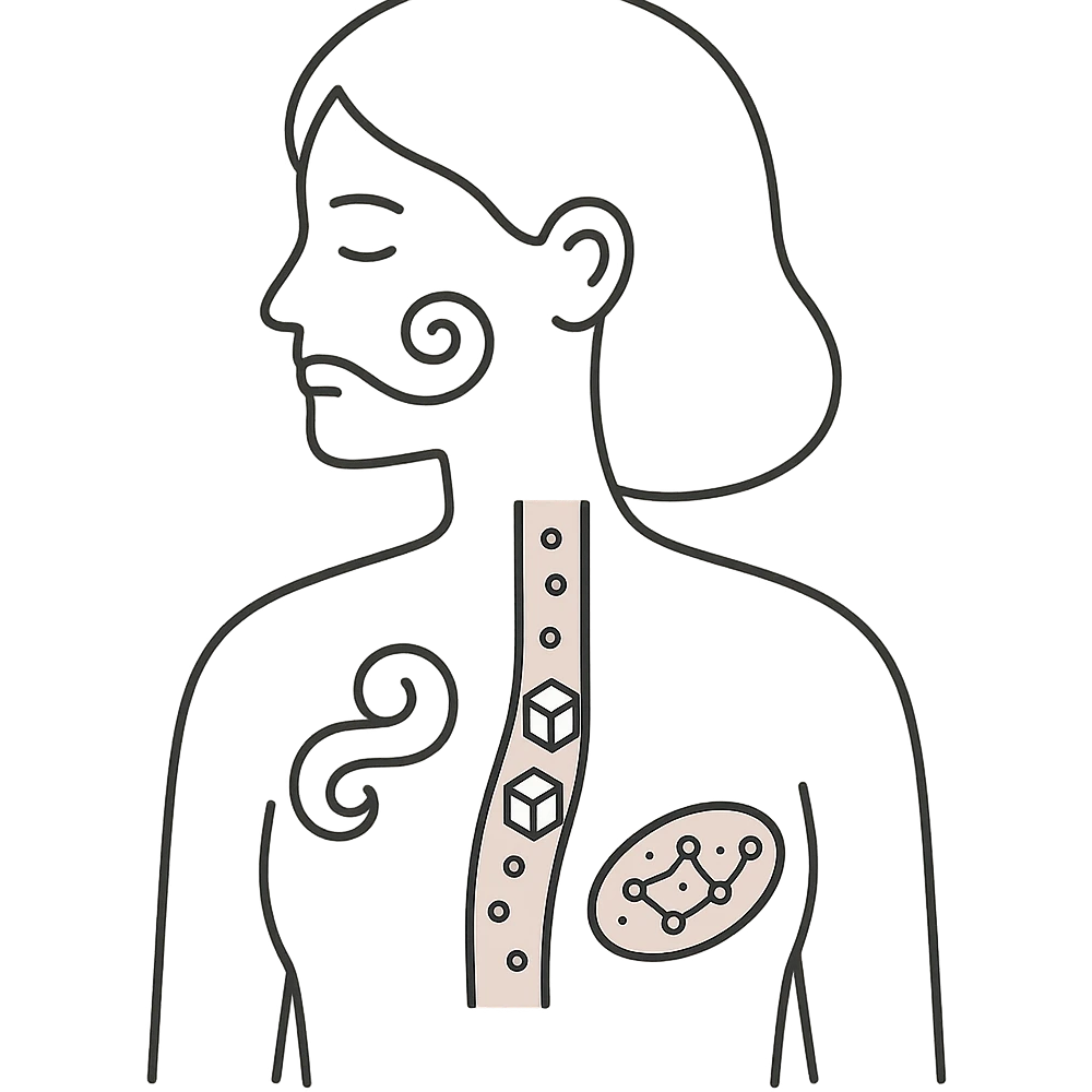 minimalist medical art of a female silhouette with abstract PCOS symptoms inside including swirling facial hair, sugar cubes in blood vessels, constellation-like polycystic ovaries, soft pastel palette emoji