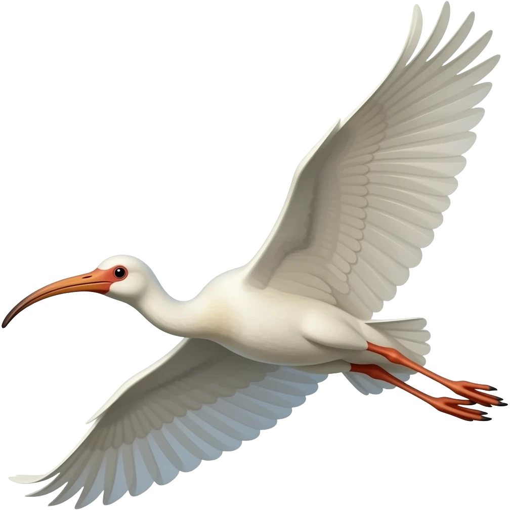 Ibis  bird flying emoji
