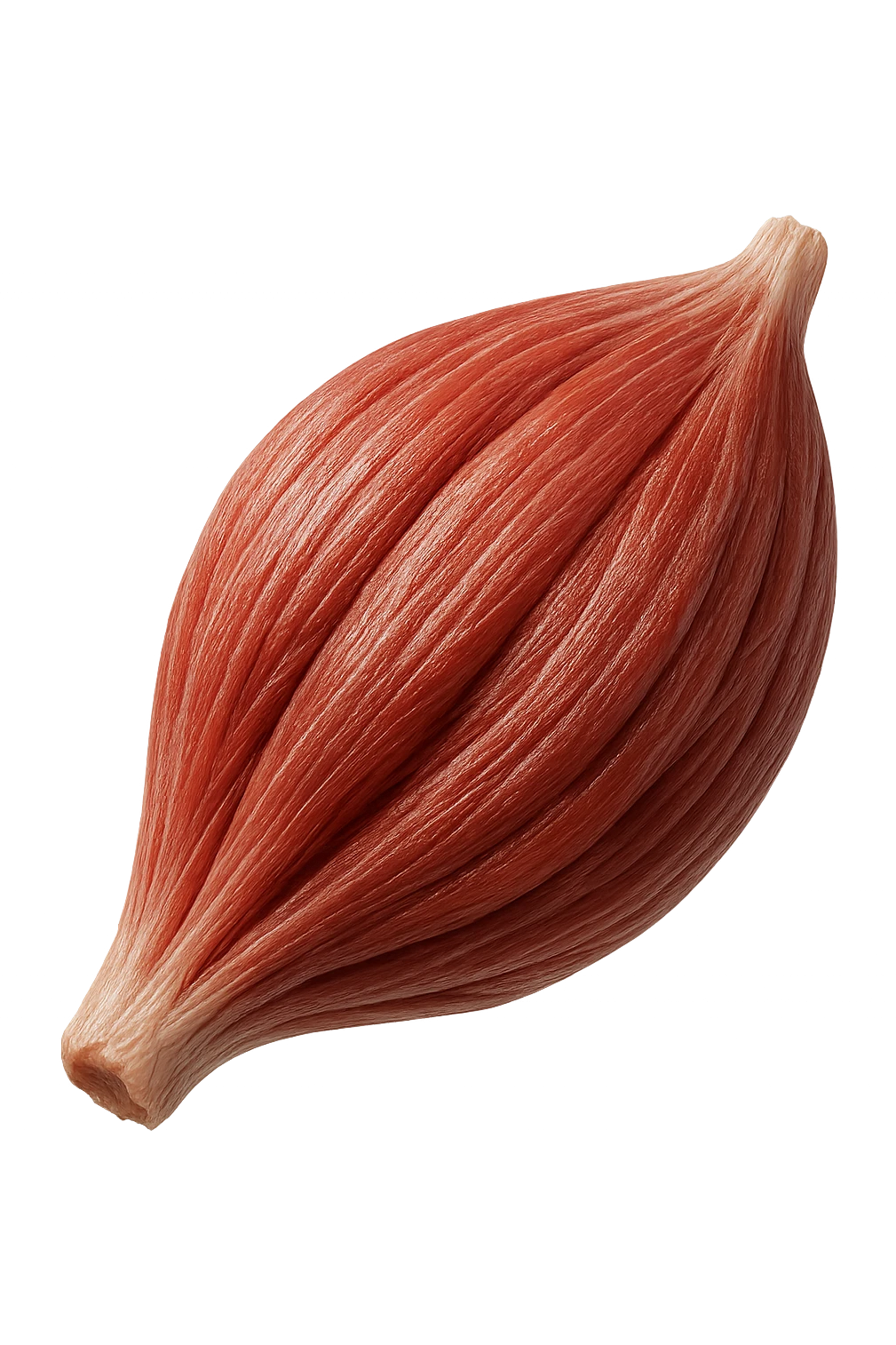 porzione di tessuto muscolare umano iperrealistico fluttua in aria, iperrealistico 4k emoji