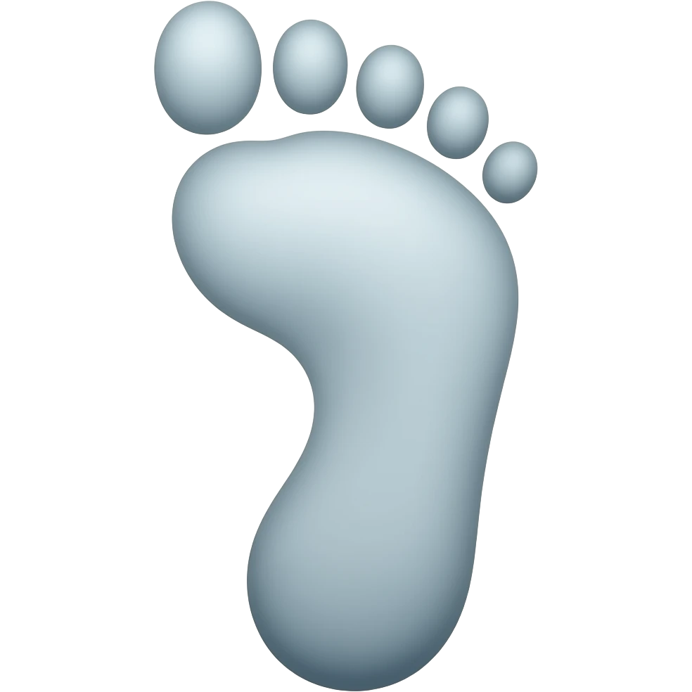 FOOTPRINT emoji