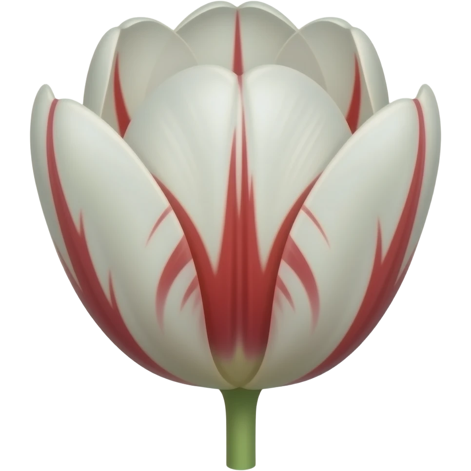 semper augustus tulip (white with red lines) with stem emoji