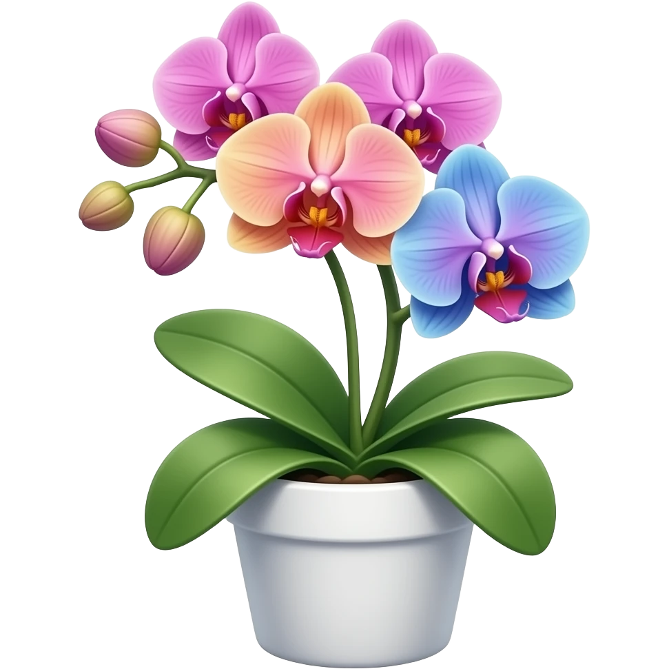 Multicolor Orchid in a white pot emoji
