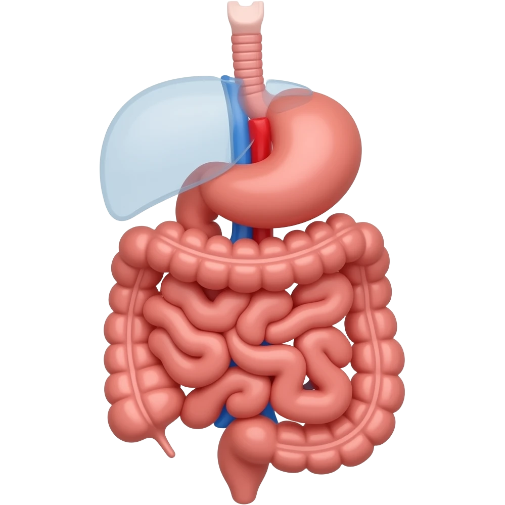 digestive system emoji