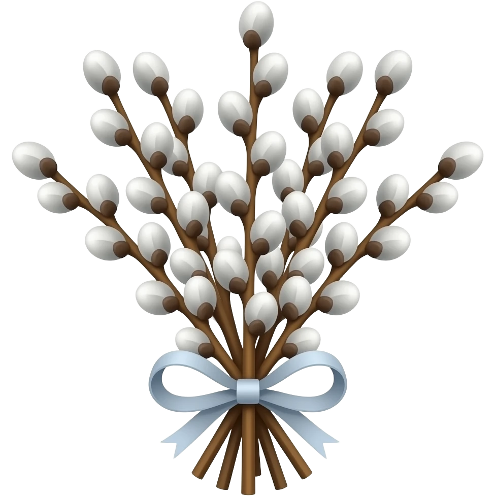 pussy willow  branches bouquet emoji