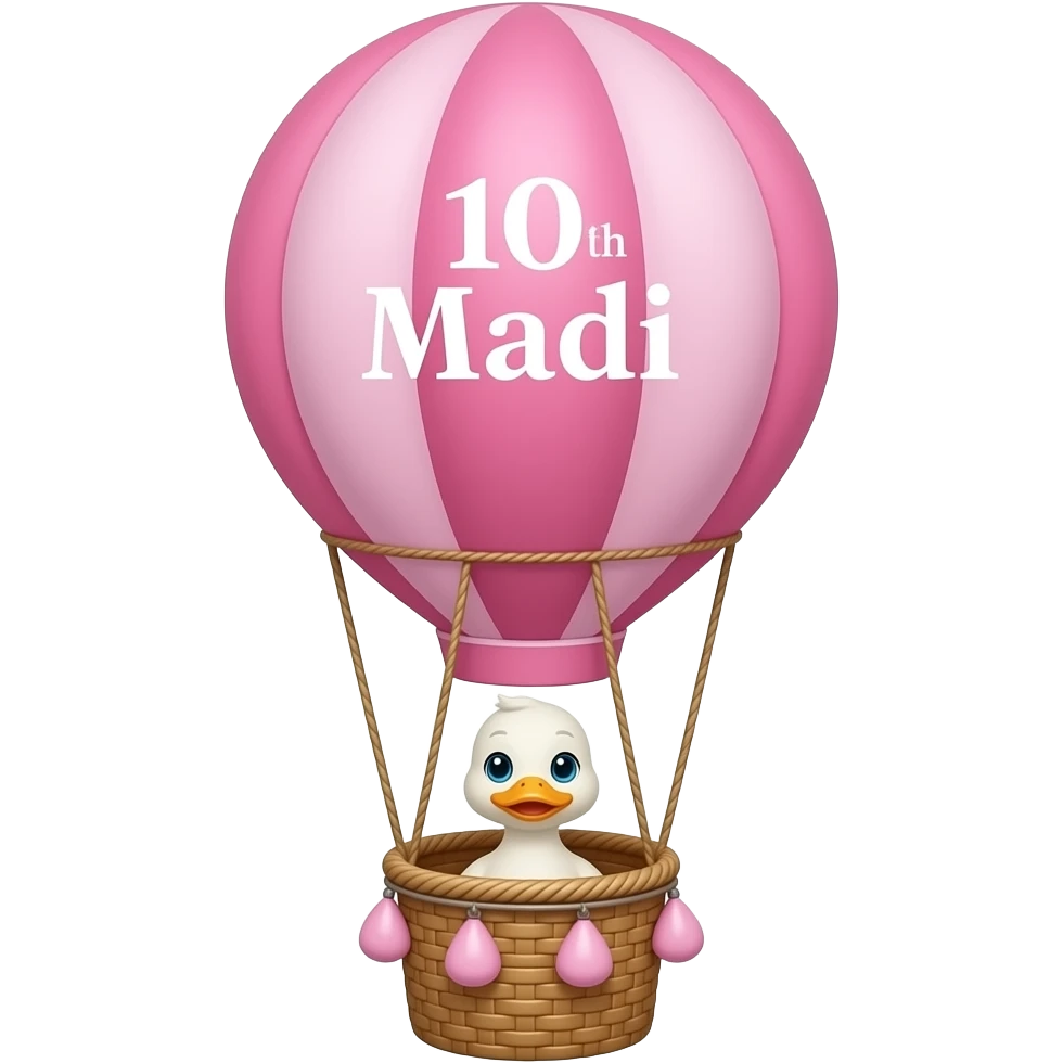 HAPPY 10TH BIRTHDAY MADI ON  PINK HOT AIR BALLOON DUCK IN BASKET emoji