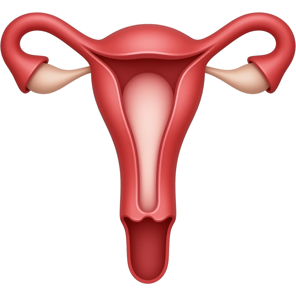 Vagina with penis in it detailed emoji