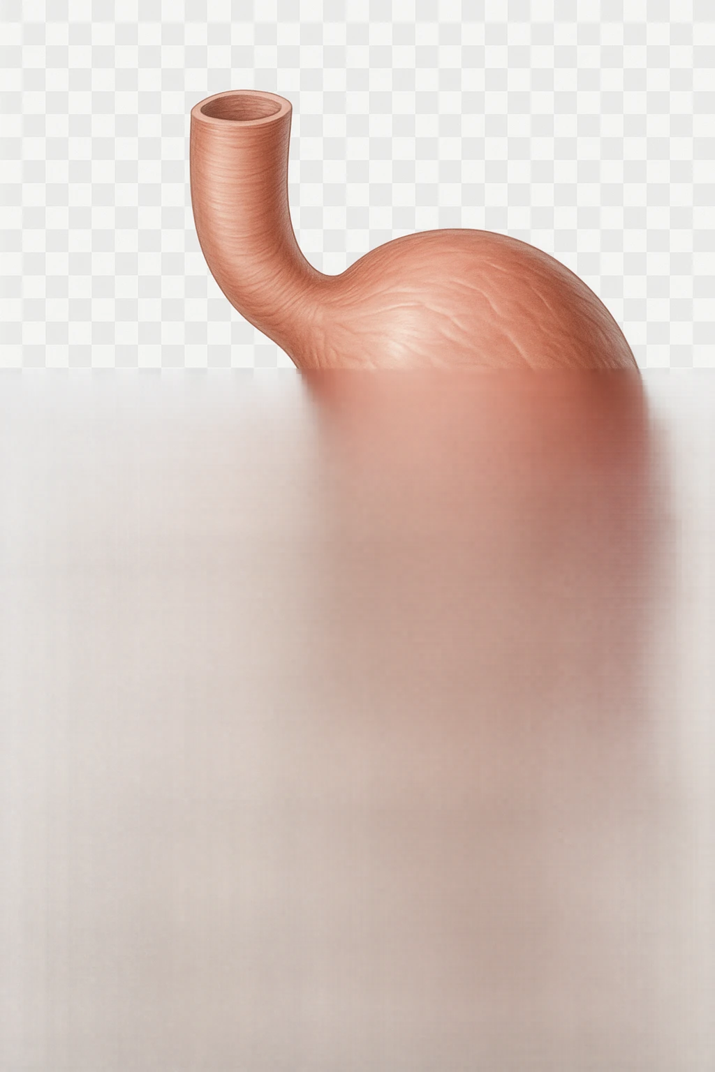 Sassi nello stomaco durante la digestione emoji