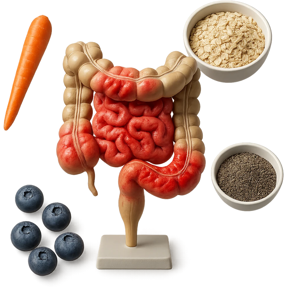 intestino umano anatomico infiammato al centro con carota, bowl di avena, mirtilli, bowl di semi di chia che gli fluttuano intorno , iperrealistico 4k emoji