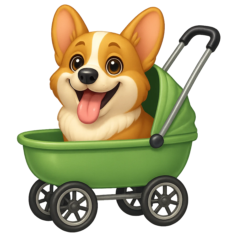Change the corgi's face to match the reference image, keeping the slim, extra-cute, realistic emoji style, with no background. emoji