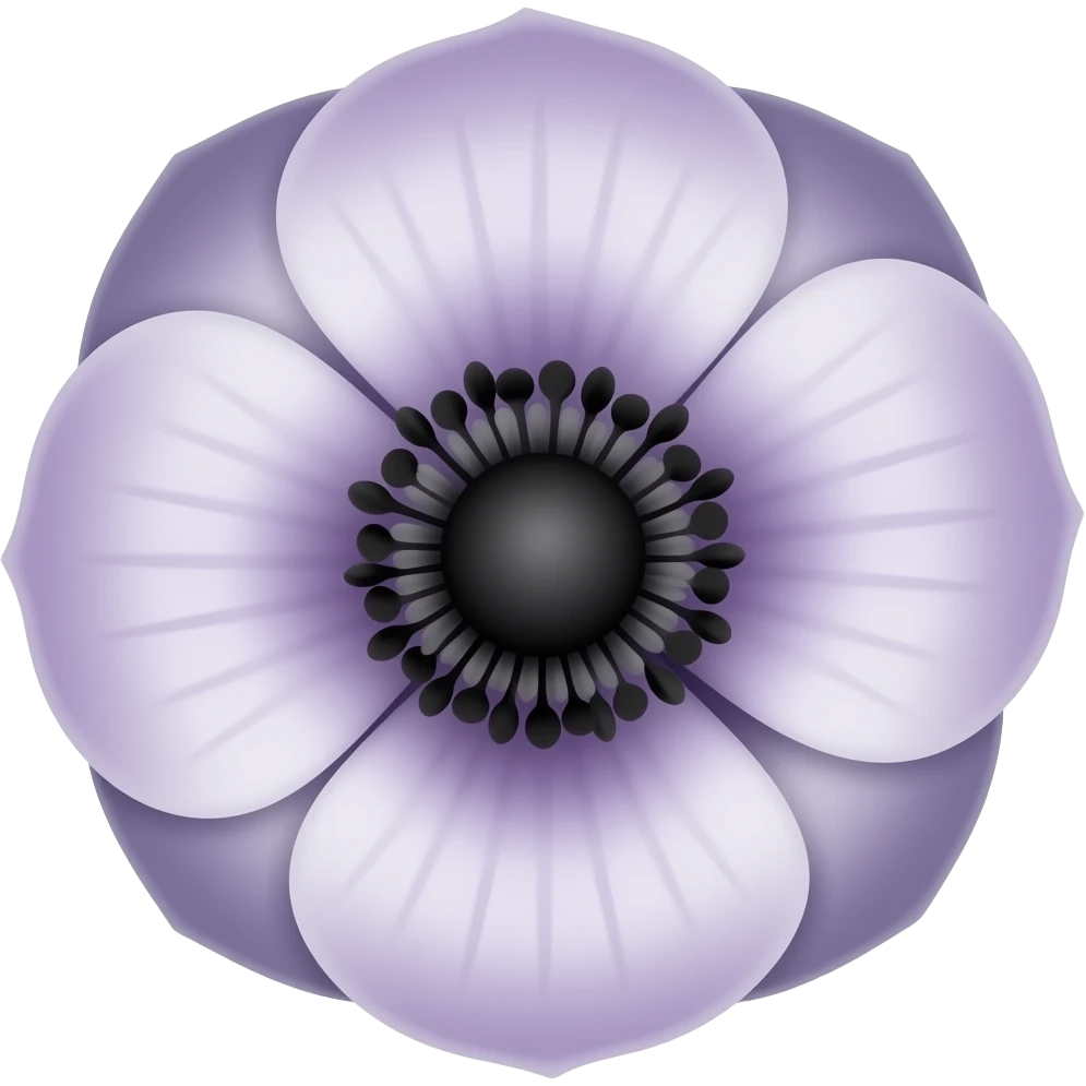 Anémone quadricolore emoji