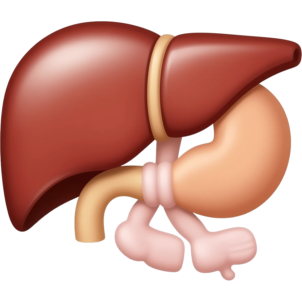 cistifellea del fegato in anatomia emoji