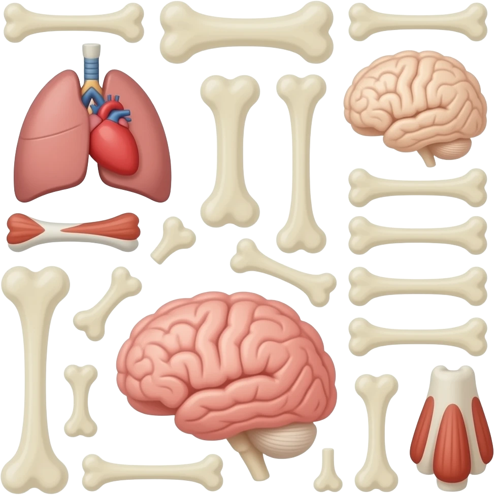 Dónde muchos huesitos, corazón, pulmones, músculos, cerebro, de diferentes tamaños emoji