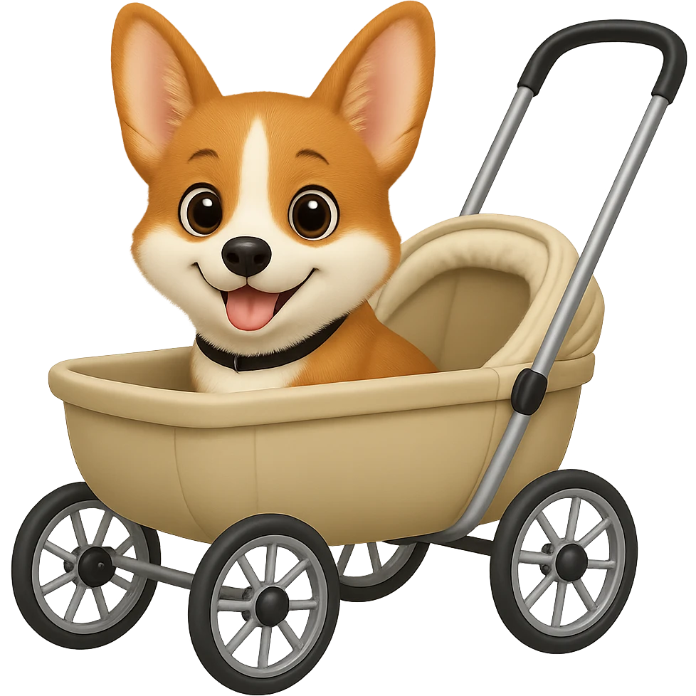 Make the corgi slim and extra cute, keeping a realistic look in the style of Apple emojis, with no background. emoji