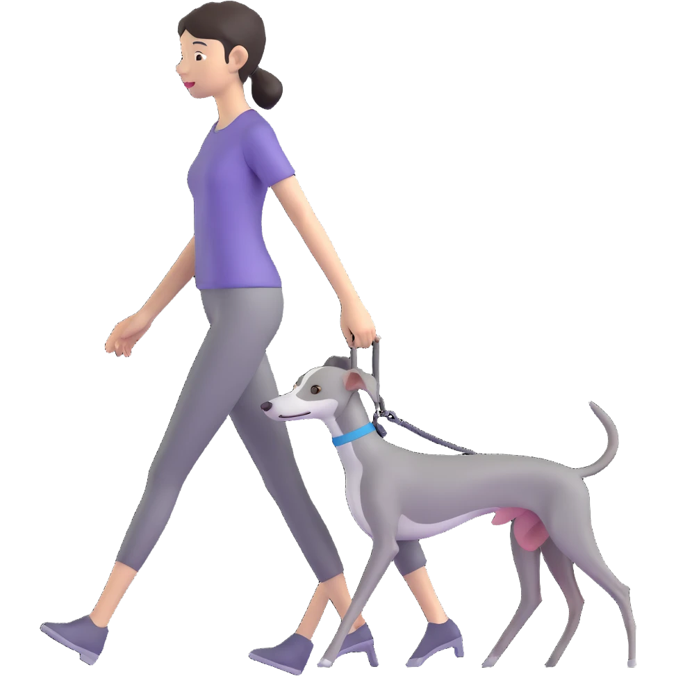 Beautiful Asian girl walking a completely solid grey Italian greyhound with a grey nose, no white markings anywhere, no white on the nose, pure grey dog emoji