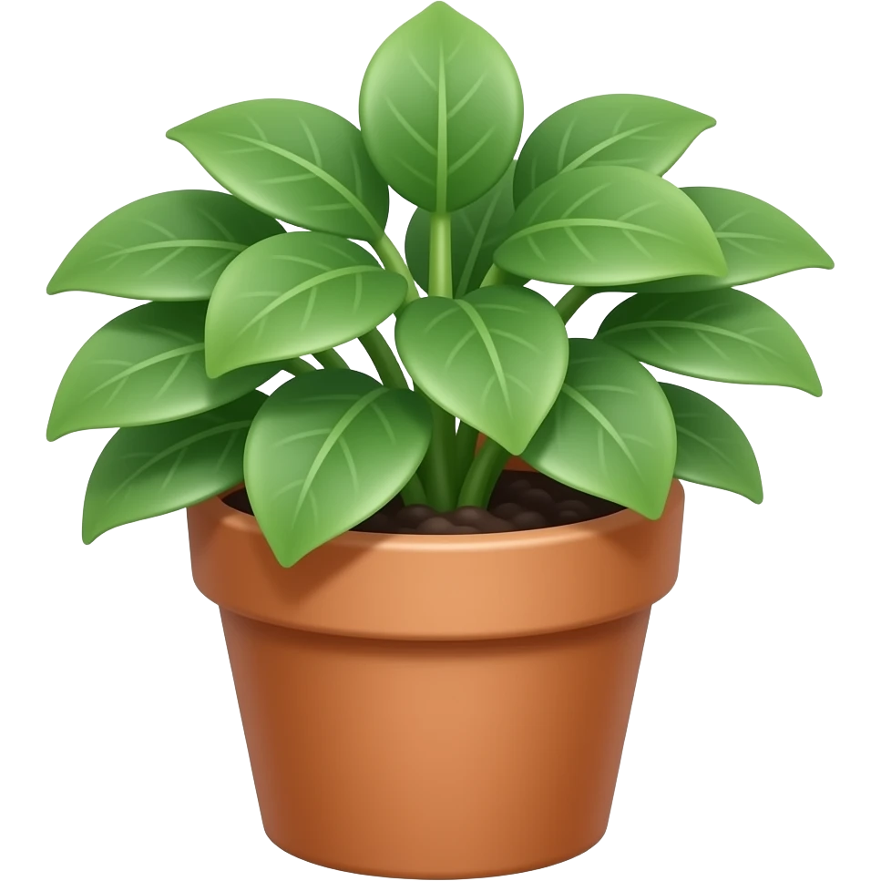 simple pilea peperomioides plant in teracotta pot emoji