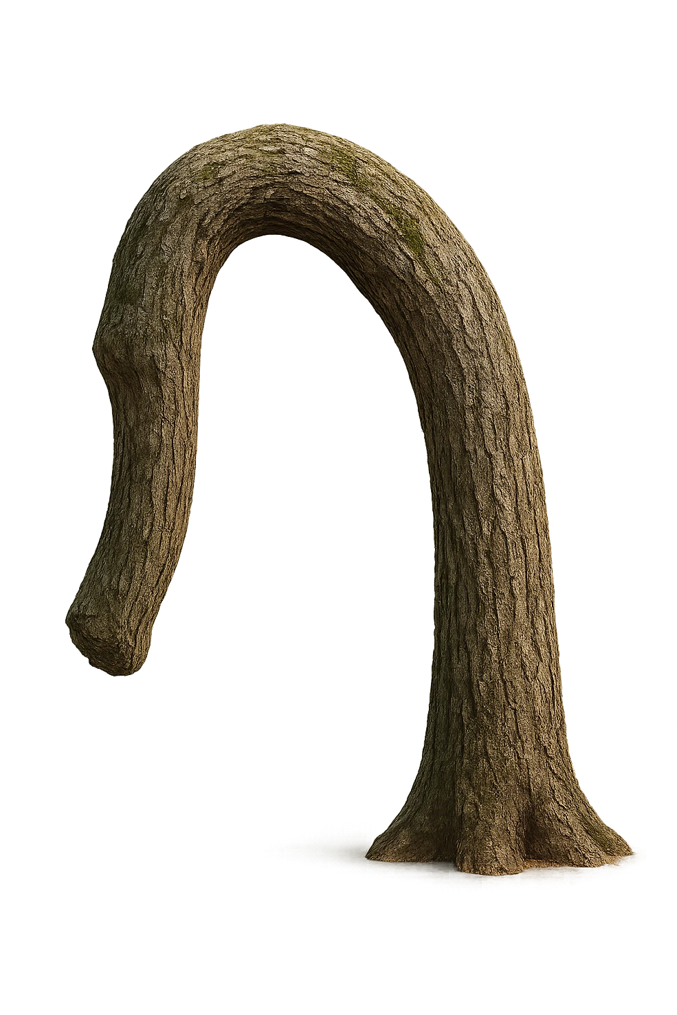 TRONCO DI ALBERO AMMOSCIATO, IPERREALISTICO 4K emoji