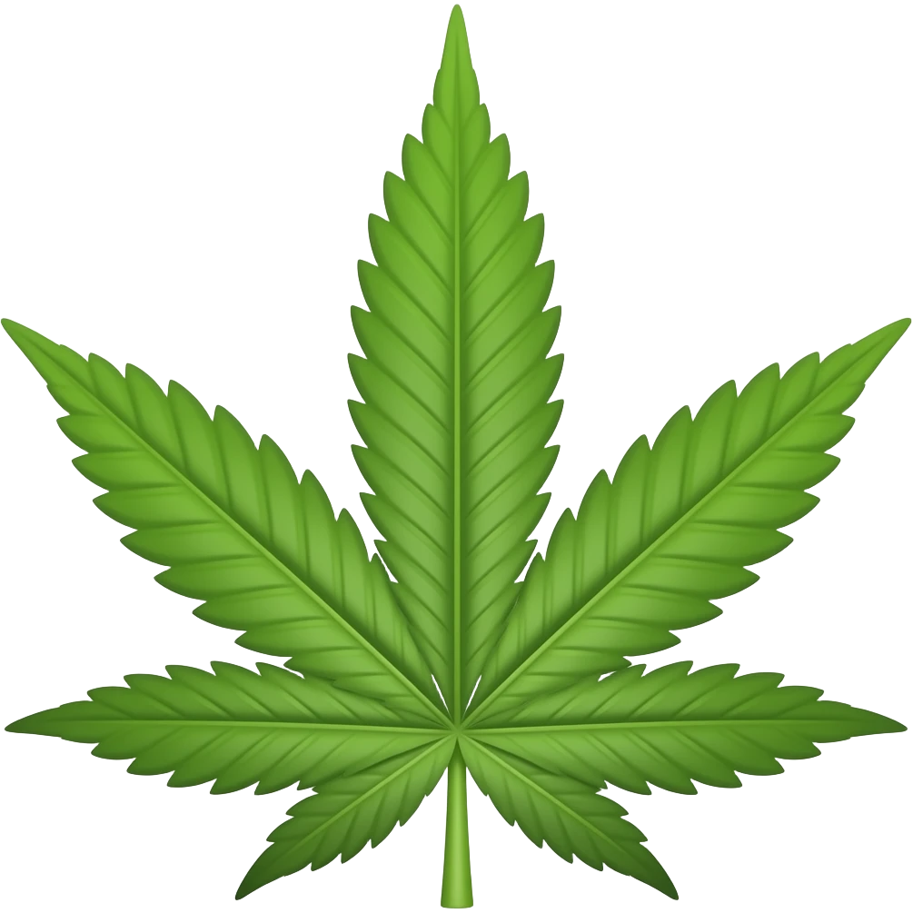 🫪 bong weed emoji