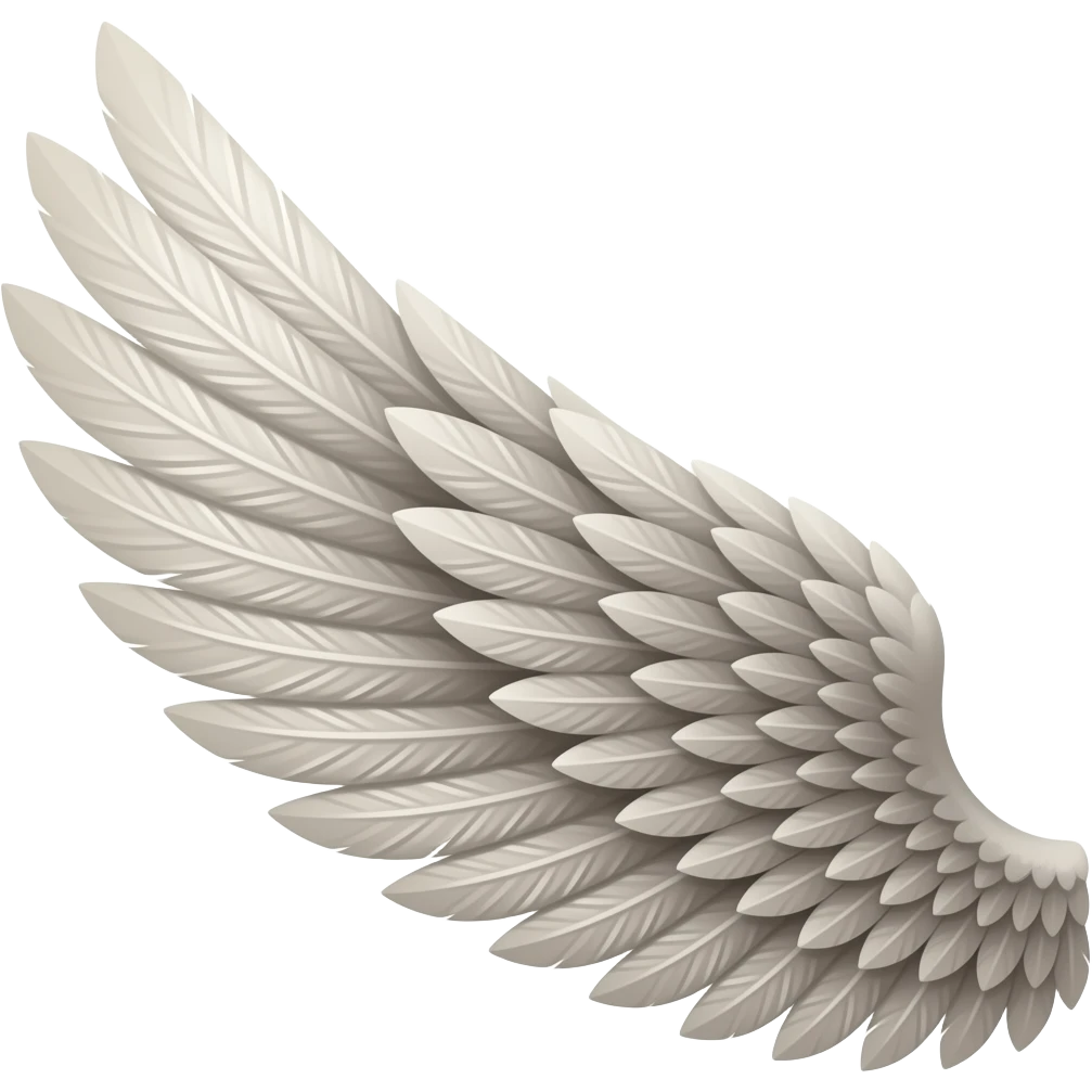 Left side wings 🪽 emoji