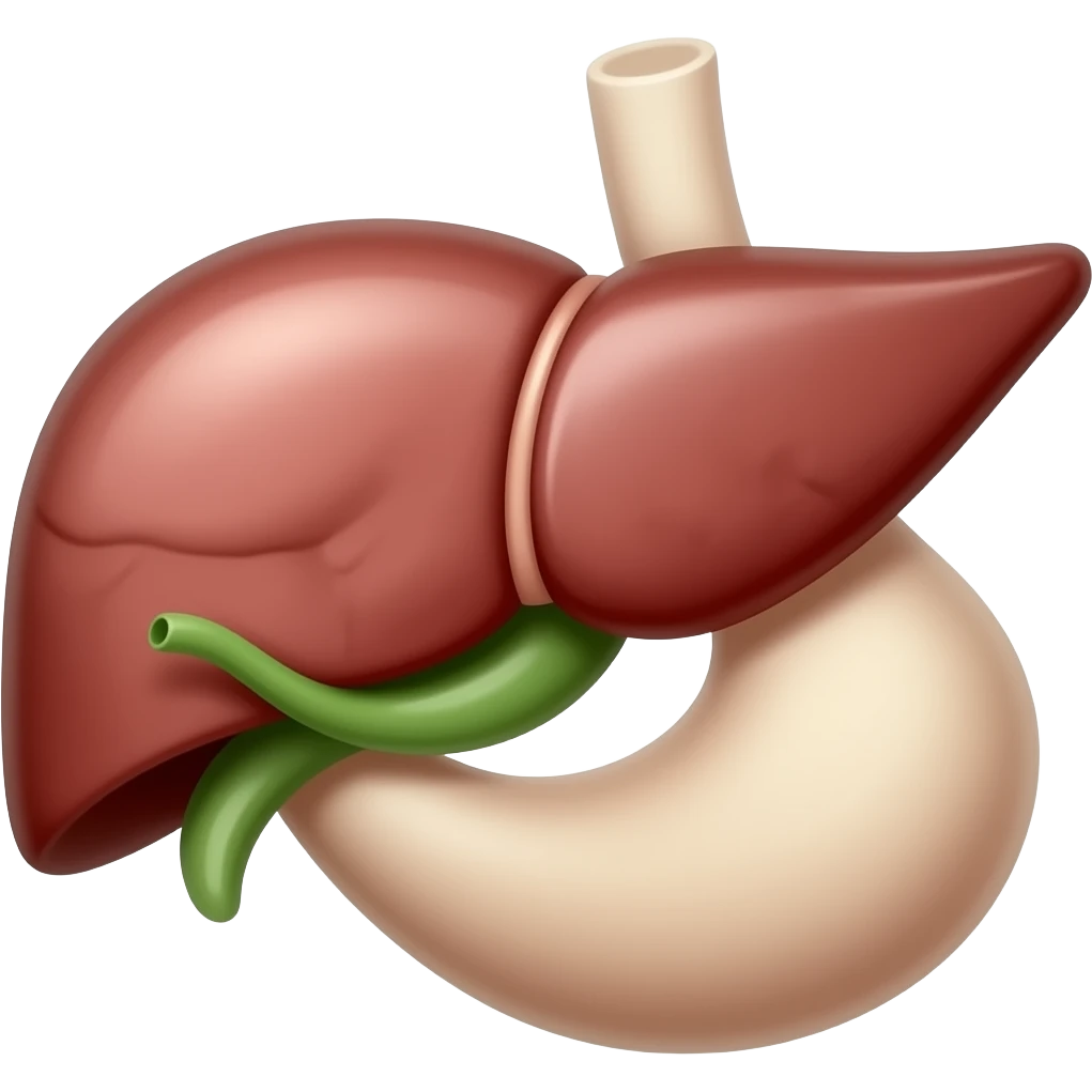 liver with green gallblader anatomy emoji