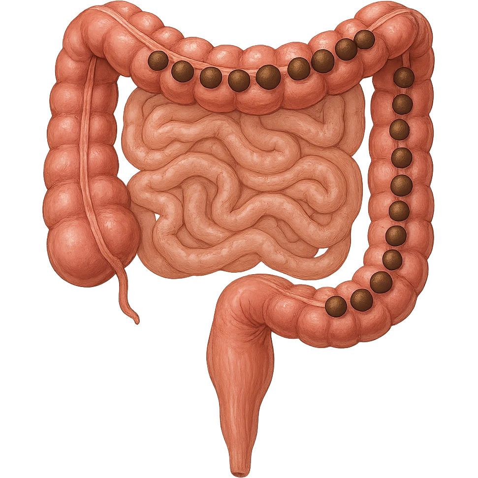 intestino umano anatomico con feci a palline emoji
