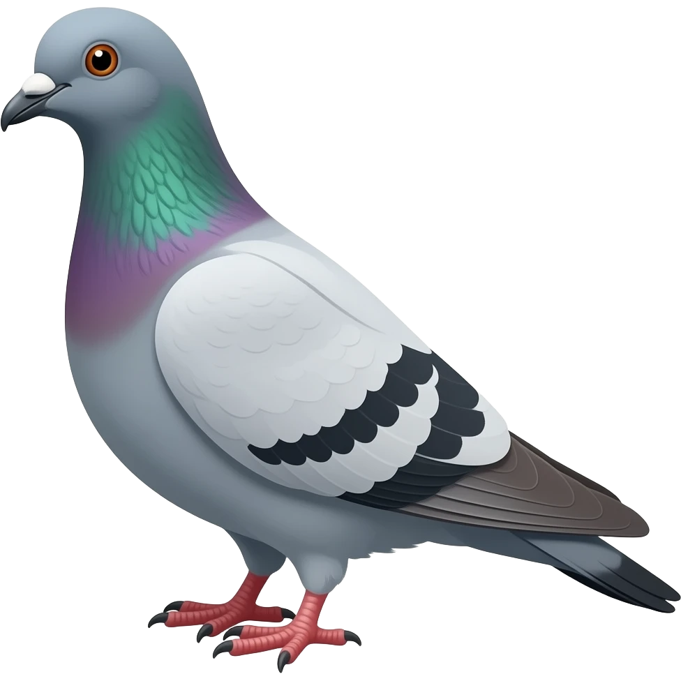 pigeon emoji